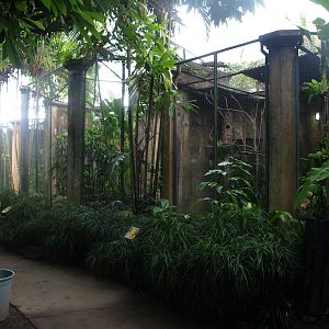 Parrot aviaries