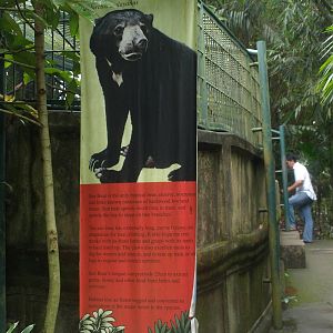Signage for sun bears