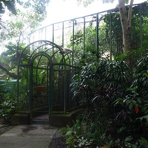 Entry to walk-through aviary