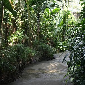 Interior of walk-through aviary