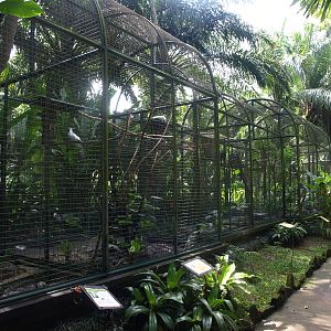 Parrot aviaries