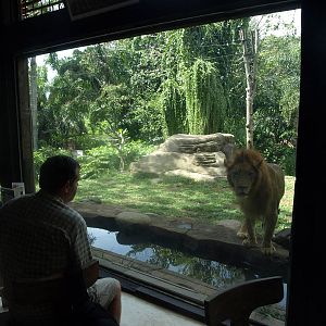 View from the restaurant