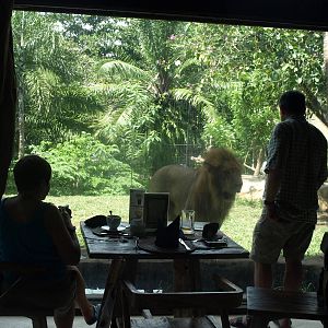 View from the restaurant