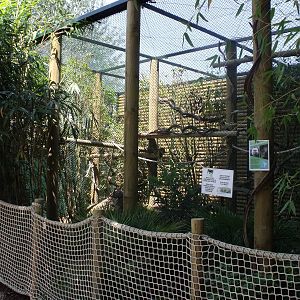 new saki and squirrel monkey exhibit