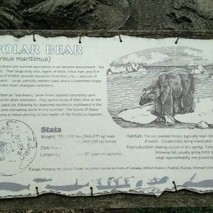 May 2012-Polar bear Sign at Lords of the Arctic