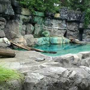 May 2012-First Polar bear exhibit