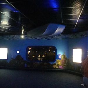 Journey to the Reef - Jelly Room