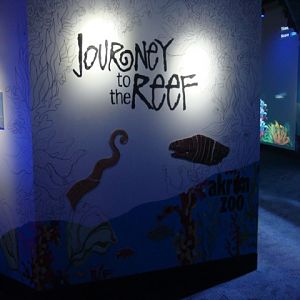 Journey to the Reef - Coloring Book Wall