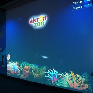 Journey to the Reef - Interactive Game Wall