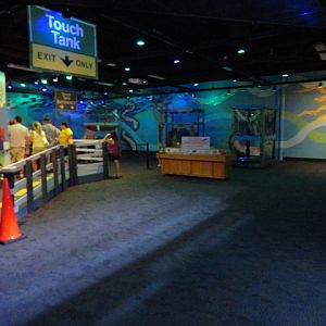 Journey to the Reef - Interactivities Section