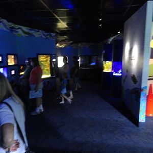Journey to the Reef - Exhibit Corridor