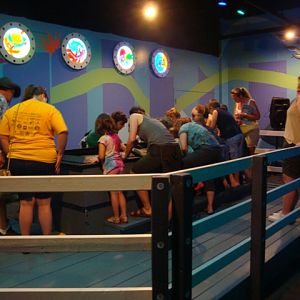 Journey to the Reef - Touch Tank