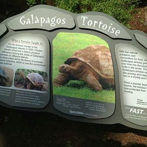May 2012-Tortoise sign at Galapagos Encounter