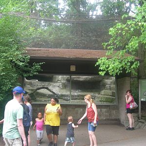 snow leopard exhibit