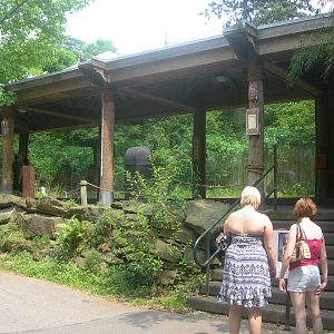 empty Komodo Dragon exhibit