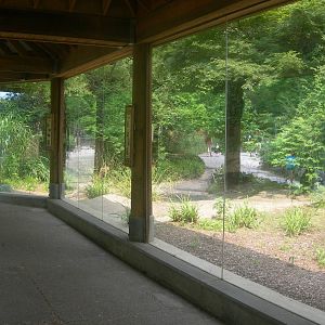 empty Komodo Dragon exhibit