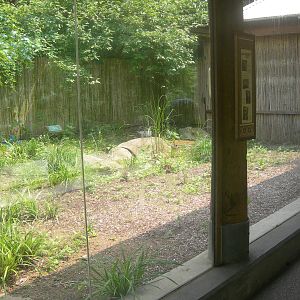 empty Komodo Dragon exhibit
