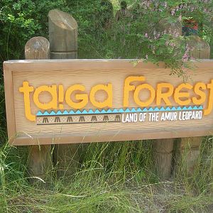 Taiga Forest Sign