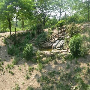 waterfall in top part of african wild dog exhibit