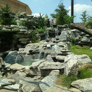 May 2012-Left side of the Cougar exhibit