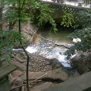 North American River Otter Exhibit