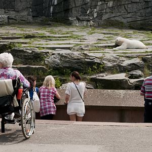 Polarbear enclosure at Berlin Tierpark