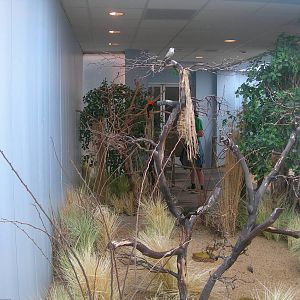 Grasslands Exhibit