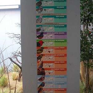 List of Birds in the Grasslands Exhibit