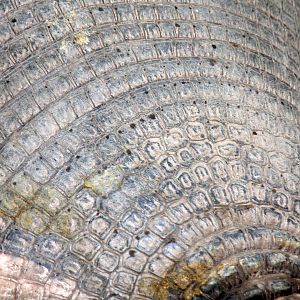 Bioparque Los Ocarros, Villavicencio, Colombia