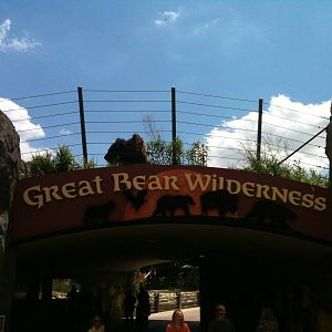 Bison above the tunnel.