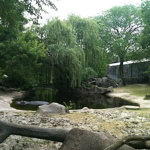 Hippo Exhibit