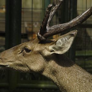 Identification please?