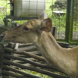 Identification please?