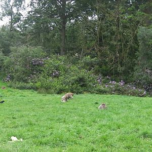 General View - 02.06.2012