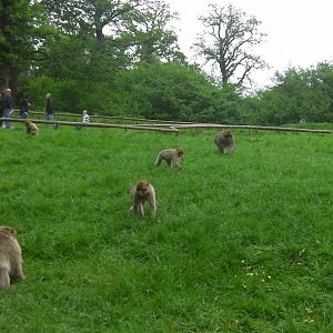 General View - 02.06.2012