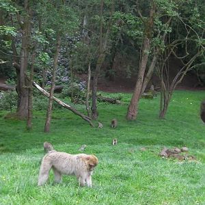 General View - 02.06.2012