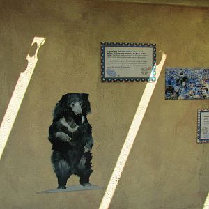 Sloth Bear Exhibit