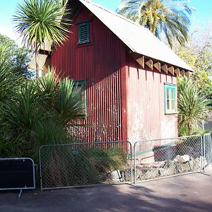 Golden Lion Tamarin Enclosure (Under Construction)