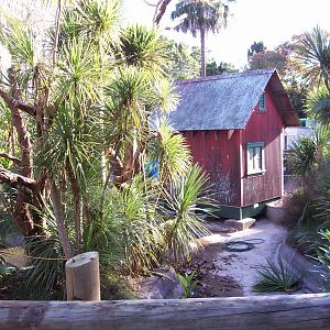 Golden Lion Tamarin Enclosure (Under Construction)