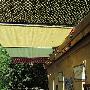 Sloth Bear Exhibit Graphics