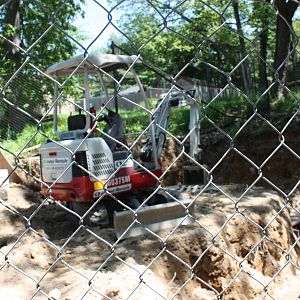 Hoofstock- Construction