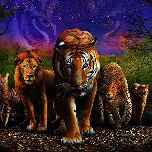 Wild About Cats event graphic