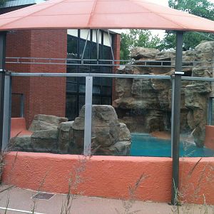 California Sea Lion Exhibit