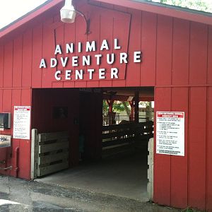 Farm Animals