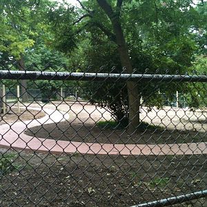 Construction for the new Austraila walk-thru