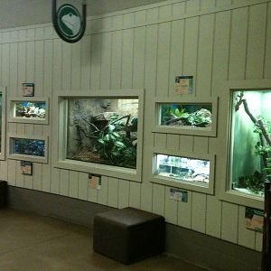 Reptile exhibits in the entry building.
