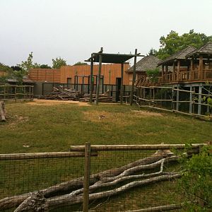 Africa-Giraffe, Thomson's gazelle, Gernuk exhibit.