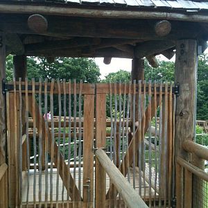 Africa-Giraffe feeding deck.