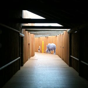 Africa-Tunnel that takes you around the Giraffe barn.
