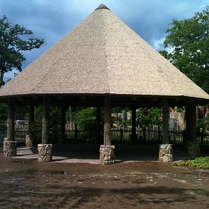 Africa-Viewing are for the Rhino and Zebra Yard